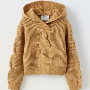Hooded Knit sweater